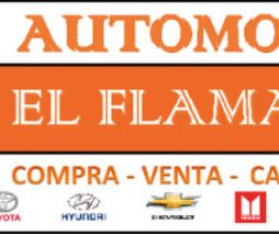 AUTOMOTORES EL FLAMANTITO